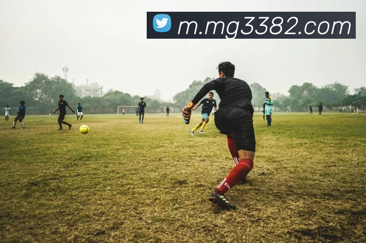 MG娱乐平台官网平台生态图